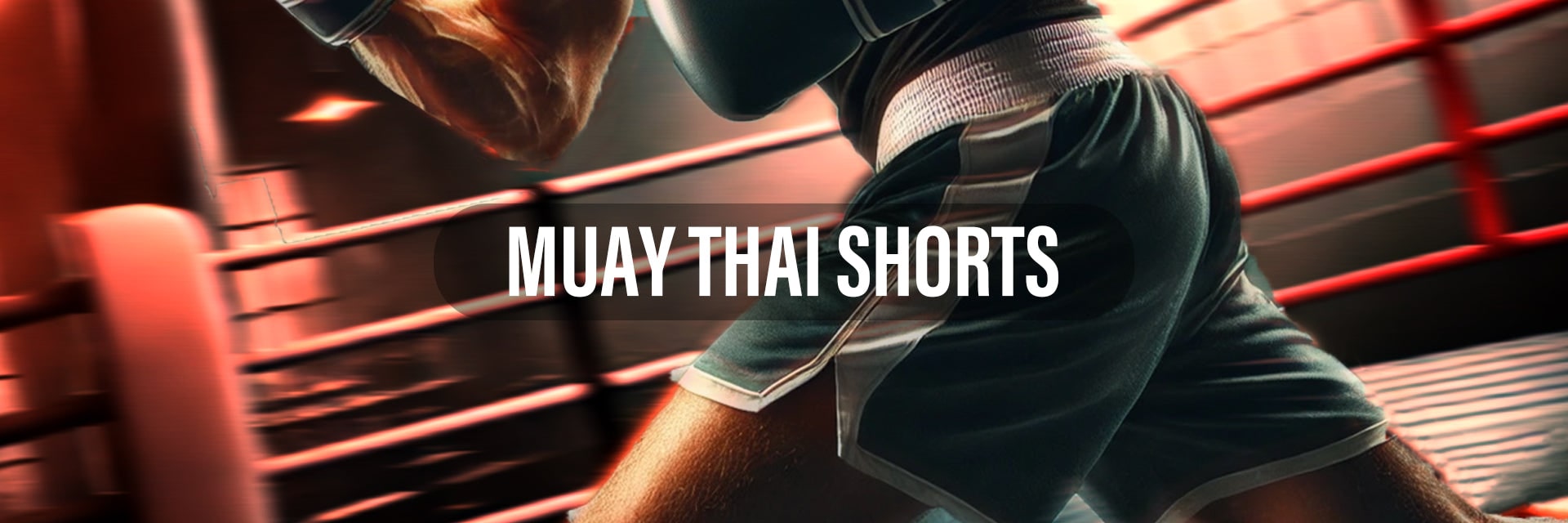 Muay thai shorts