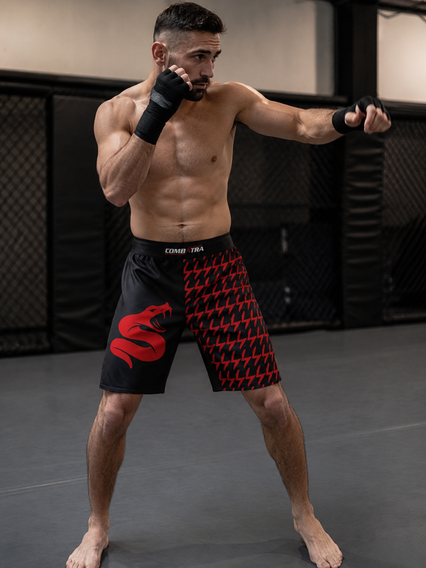 Harvey F., MMA Practitioner
