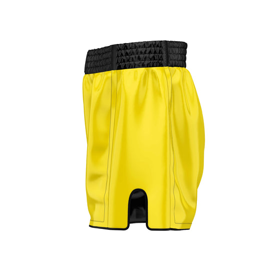 Brazil Flag Muay Thai Shorts